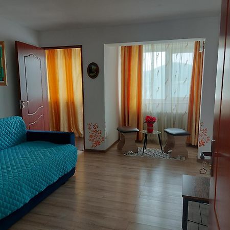 Casa Yuppy Du Apartment Ieşelniţa Exterior foto